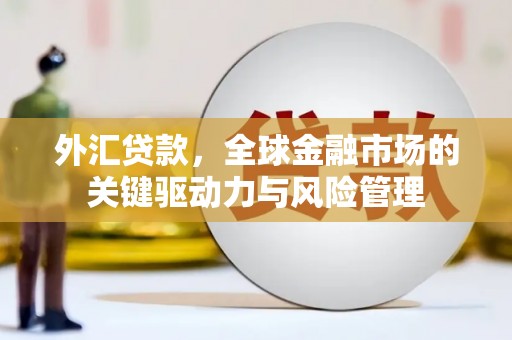 镇赉外汇贷款，全球金融市场的关键驱动力与风险管理