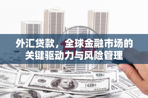 镇赉外汇贷款，全球金融市场的关键驱动力与风险管理