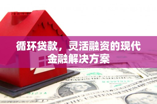 镇赉循环贷款，灵活融资的现代金融解决方案