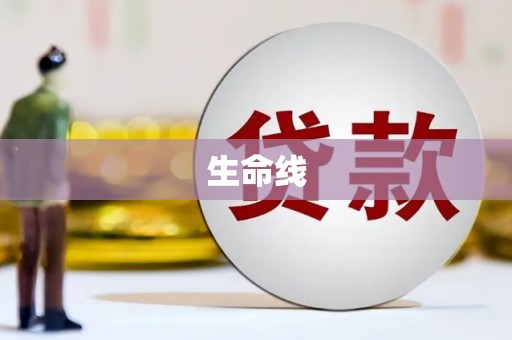 镇赉生命线