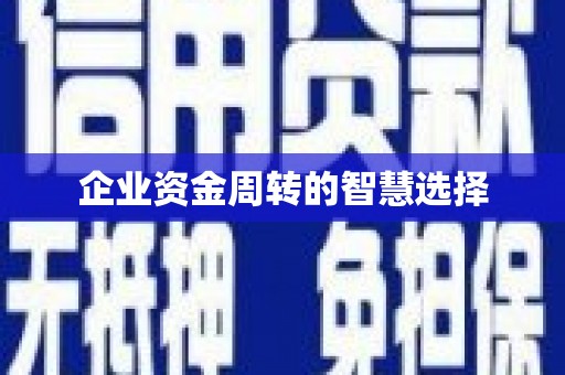 镇赉企业资金周转的智慧选择