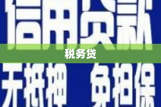镇赉税务贷
