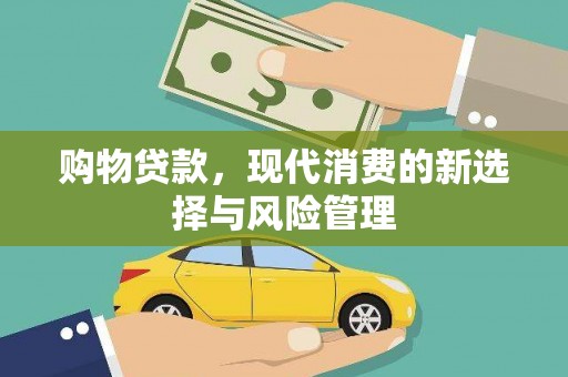 镇赉购物贷款，现代消费的新选择与风险管理