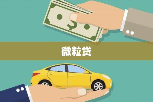 镇赉微粒贷