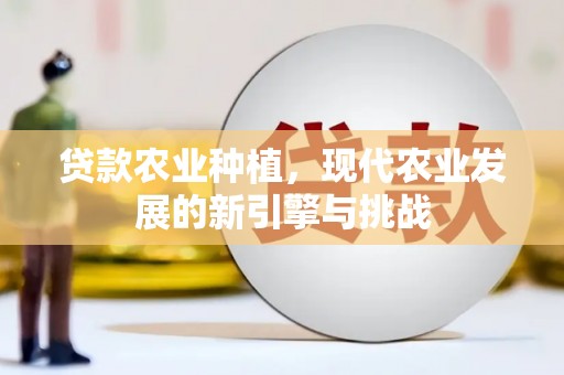 镇赉贷款农业种植，现代农业发展的新引擎与挑战