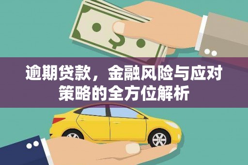 镇赉逾期贷款，金融风险与应对策略的全方位解析
