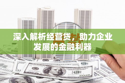 镇赉深入解析经营贷，助力企业发展的金融利器