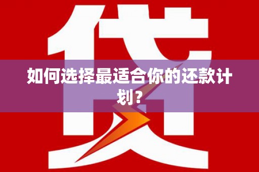 镇赉如何选择最适合你的还款计划？