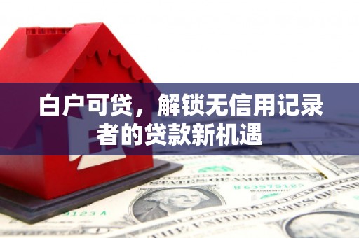 镇赉白户可贷，解锁无信用记录者的贷款新机遇