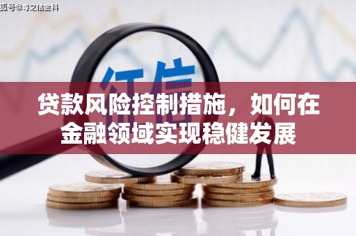 镇赉贷款风险控制措施，如何在金融领域实现稳健发展