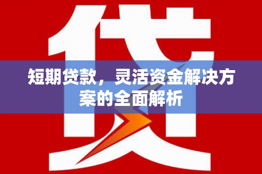 镇赉短期贷款，灵活资金解决方案的全面解析