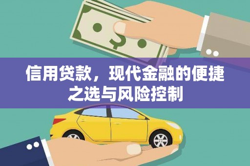 镇赉信用贷款，现代金融的便捷之选与风险控制