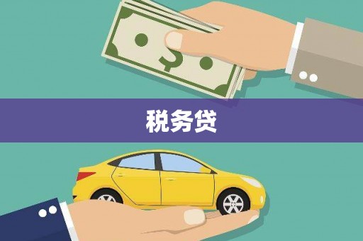 镇赉税务贷