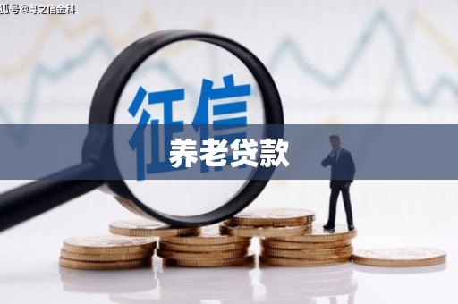 镇赉养老贷款