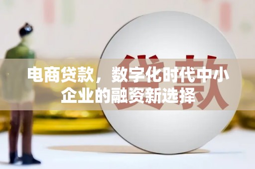 镇赉电商贷款，数字化时代中小企业的融资新选择