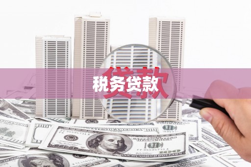 镇赉税务贷款