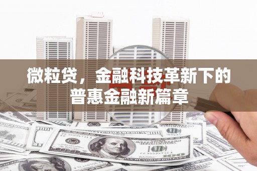 镇赉微粒贷，金融科技革新下的普惠金融新篇章
