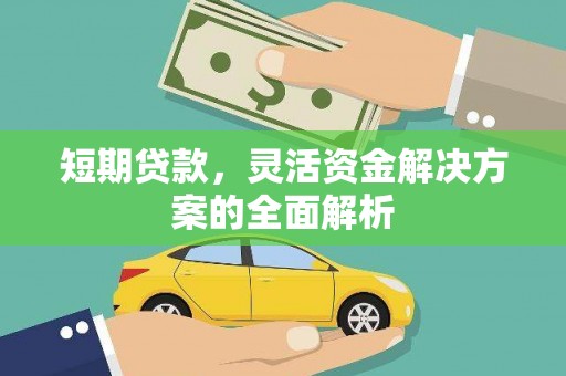 镇赉短期贷款，灵活资金解决方案的全面解析