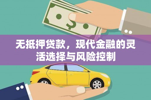 镇赉无抵押贷款，现代金融的灵活选择与风险控制