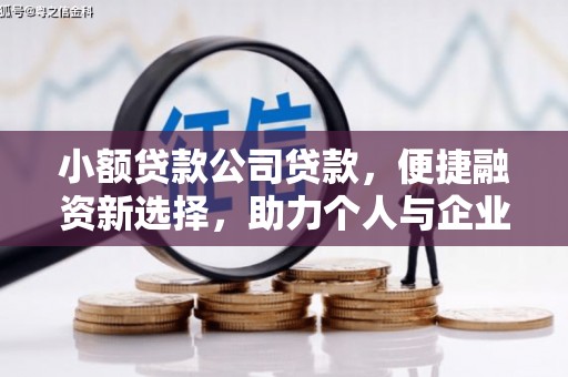 镇赉小额贷款公司贷款，便捷融资新选择，助力个人与企业成长