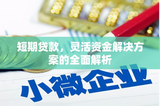 镇赉短期贷款，灵活资金解决方案的全面解析