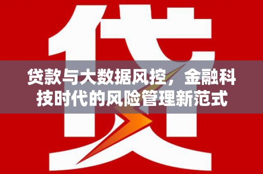镇赉贷款与大数据风控，金融科技时代的风险管理新范式