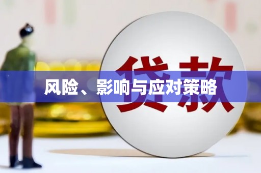 镇赉风险、影响与应对策略