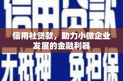 镇赉信用社贷款，助力小微企业发展的金融利器
