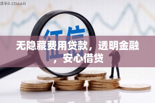 镇赉无隐藏费用贷款，透明金融，安心借贷