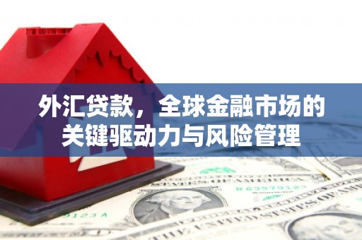镇赉外汇贷款，全球金融市场的关键驱动力与风险管理