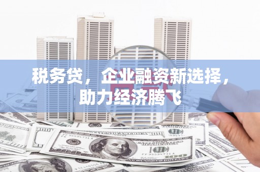 镇赉税务贷，企业融资新选择，助力经济腾飞