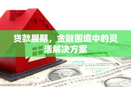 镇赉贷款展期，金融困境中的灵活解决方案