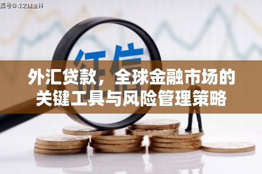 镇赉外汇贷款，全球金融市场的关键工具与风险管理策略
