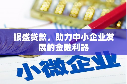 镇赉银盛贷款，助力中小企业发展的金融利器