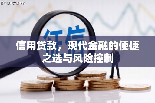 镇赉信用贷款，现代金融的便捷之选与风险控制