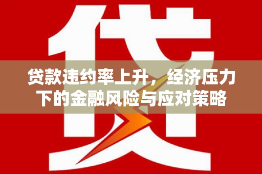 镇赉贷款违约率上升，经济压力下的金融风险与应对策略