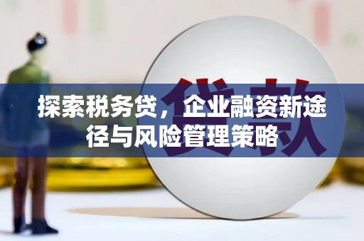 镇赉探索税务贷，企业融资新途径与风险管理策略