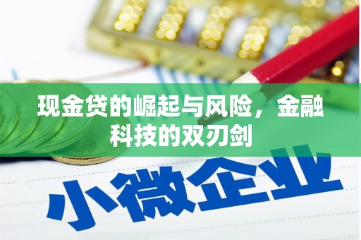 镇赉现金贷的崛起与风险，金融科技的双刃剑