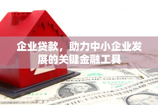 镇赉企业贷款，助力中小企业发展的关键金融工具