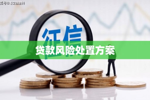 镇赉贷款风险处置方案
