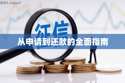 镇赉从申请到还款的全面指南