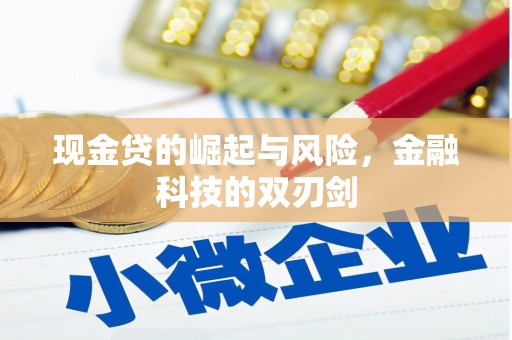 镇赉现金贷的崛起与风险，金融科技的双刃剑