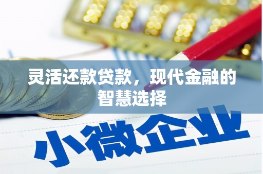 镇赉灵活还款贷款，现代金融的智慧选择