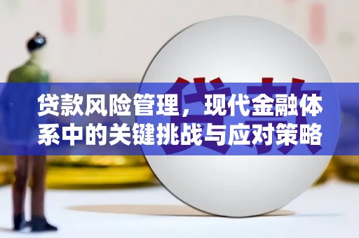 镇赉贷款风险管理，现代金融体系中的关键挑战与应对策略