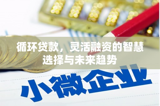 镇赉循环贷款，灵活融资的智慧选择与未来趋势