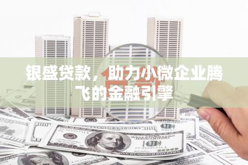 镇赉银盛贷款，助力小微企业腾飞的金融引擎