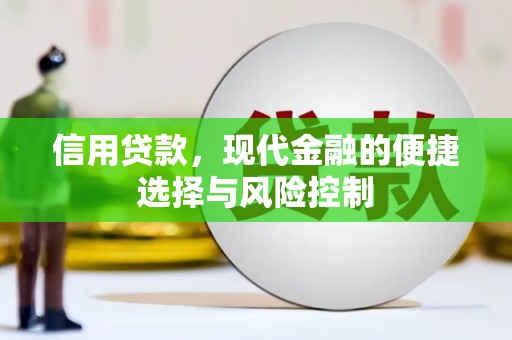 镇赉信用贷款，现代金融的便捷选择与风险控制