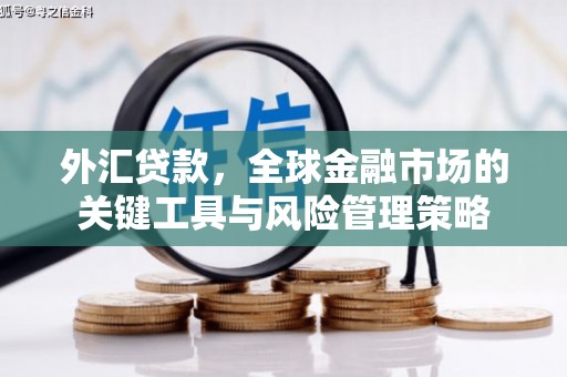 镇赉外汇贷款，全球金融市场的关键工具与风险管理策略