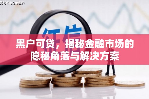 镇赉黑户可贷，揭秘金融市场的隐秘角落与解决方案
