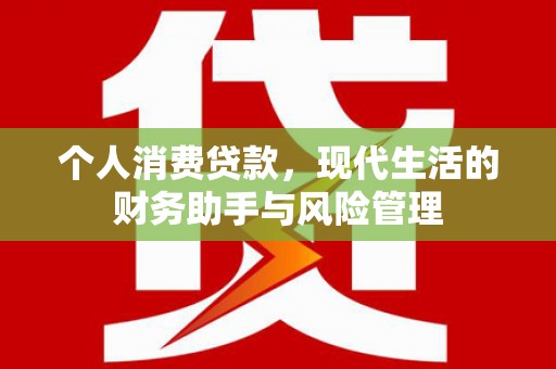 镇赉个人消费贷款，现代生活的财务助手与风险管理